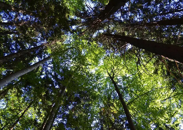 Village Rusevec Apartment *